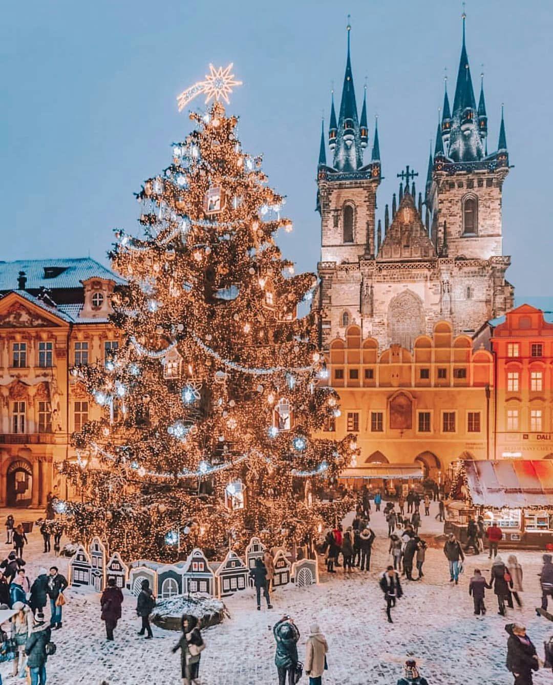 Pra&scaron;ke božićne pozadine - Najbolje besplatne pra&scaron;ke božićne pozadine - WallpaperAccess